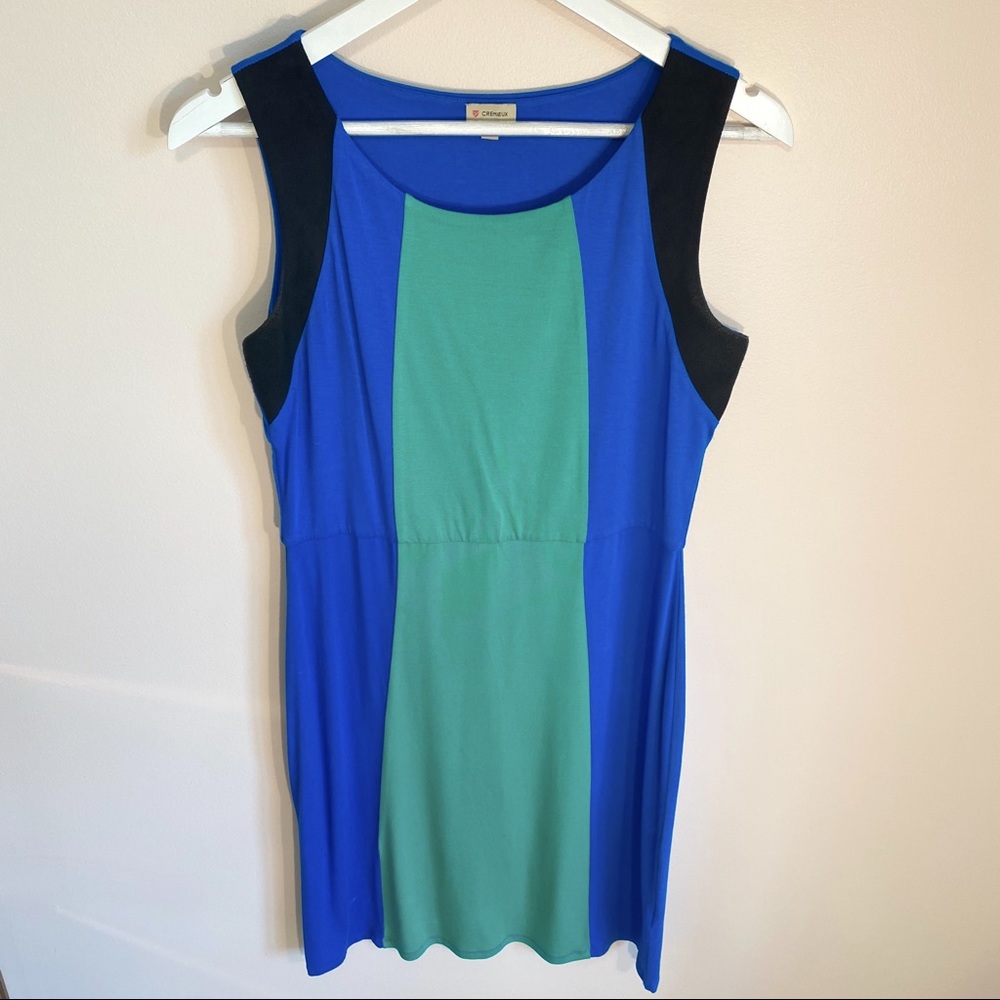 Cremieux Dress w/ Black Suede Accent